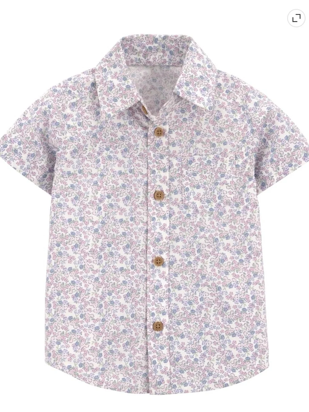 Carter's Blue Shorts with Floral Button-Up Shirt and Striped Suspenders